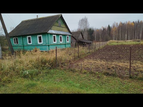 Видео: АРЗОН Уй 40м² Ери 50+50 сотих 3.100$ 300.000 р. Псков Бежаницкий р-н д. Финьково