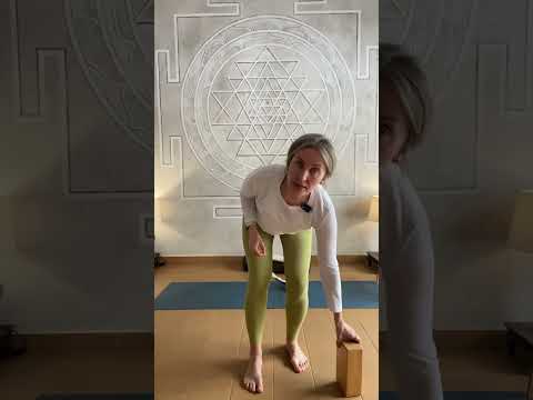 Видео: Йога Айенгара для начинающих. Урок первый. Тадасана и Уттанасана.