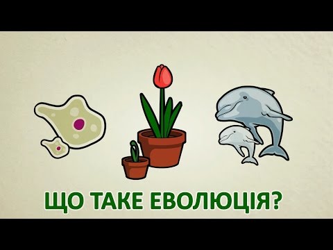 Видео: Що таке еволюція [Stated Clearly]