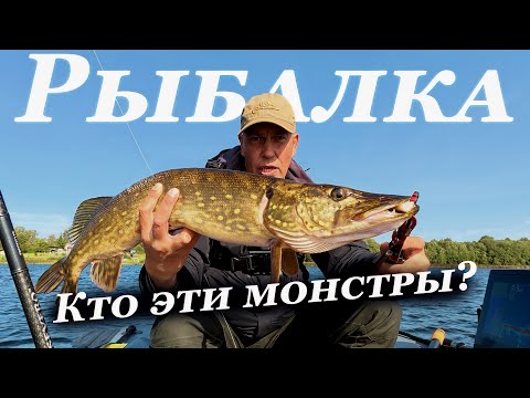 Видео: Кто эти МОНСТРЫ в ЭХОЛОТЕ  Рыбалка на ЩУКУ в СЕНТЯБРЕ