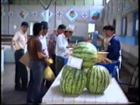 Видео: Наукат 1991г