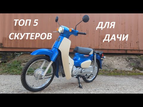 Видео: ТОП 5 скутеров из Японии для дачи!