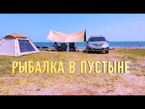 Видео: Рыбалка в пустыне .