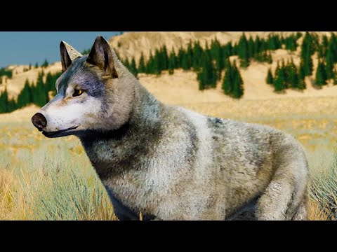 Видео: Сим Волков #1 Кид в новом симуляторе Wolf Quest. Питомец Альфа на пурумчата