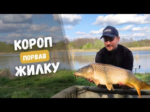 Видео: Як ловити коропа на платнику. РИБАЛКА НА КАРПА ВЕСНОЮ