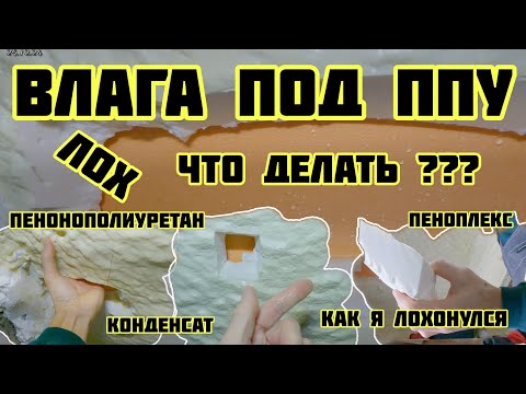 Видео: Влага под ППУ, конденсат между ппу и пеноплексом, точка росы, что делать?🏡√467 Строим Дом 25.12.2024