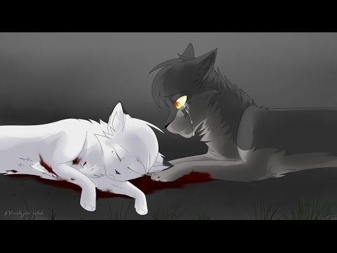 Видео: Коты Воители:Эти Роли Не Для Нас: