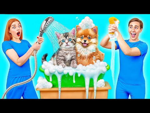 Видео: Я Спасла Бездомных Животных от Multi DO Smile