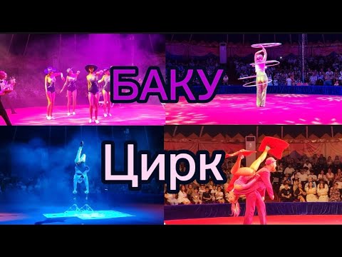 Видео: СИАБРИЗ, ОТКРЫТИЕ ЦИРКА 🔥🎪ВОТ ЭТО ТАЛАНТ😍#Цирк #Circus #Баку #Baku