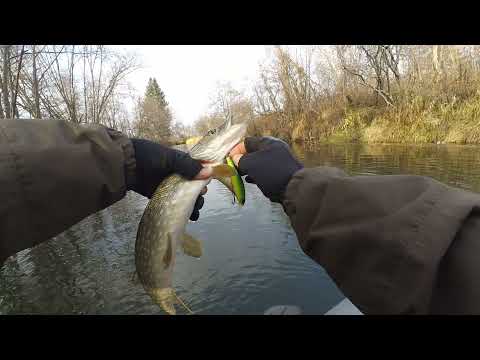 Видео: Jackall Squad Minnow, OSP Varuna, осенний сплав по малой реке