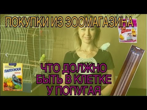 Видео: Покупки из зоомагазина || Что должно быть в клетке попугая