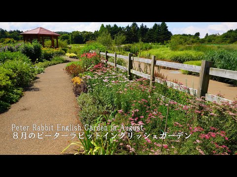 Видео: Прогулка по английскому саду кролика Питера в полном цвету с горой Фудзи!
