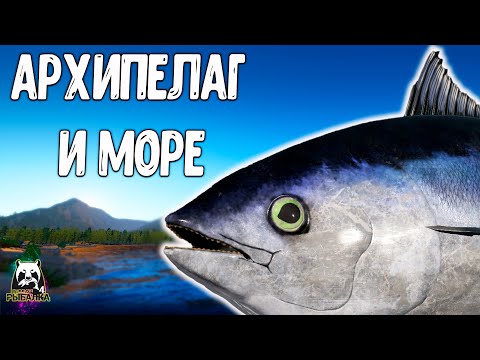 Видео: 🔴 РР4/ рыбалка для души, ловим как универсал, общаемся 03.11.2025
