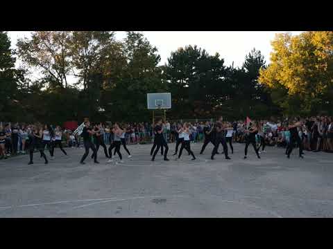 Видео: Танец факультета Ветеринарной Медицины