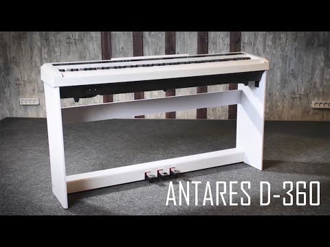 Видео: Цифровое Пианино Antares D360