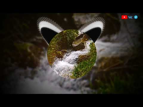 Видео: Лэйсэн Гимаева - Яшьлегем чишмэлэре (K.M. TATAR PHONK REMIX)