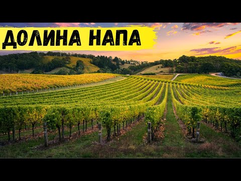 Видео: Долина Напа - винная Мекка США