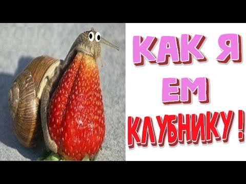 Видео: Лютые приколы. КАК Я ЕМ КЛУБНИКУ!!! Самое смешное видео! Попробуй не засмеяться! - Domi Show!