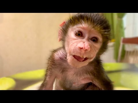 Видео: Мы изменили ТАКТИКУ КОРМЛЕНИЯ и у Люси поднялось настроение)))