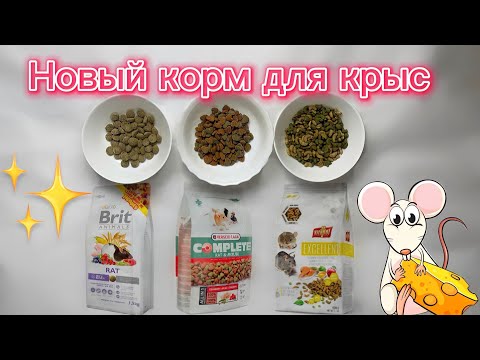 Видео: Обзор кормов для крыс из Германии 🐀| Обзор одежды из H&M и WEEKDAY