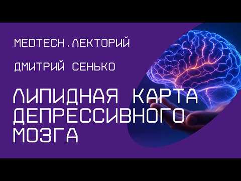 Видео: Липидная карта депрессивного мозга | Дмитрий Сенько
