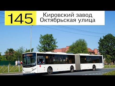 Видео: Автобус 145 "Кировский завод  - Октябрьская улица".