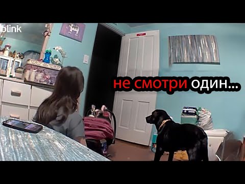 Видео: 10 Самых Страшных Видео в Мире | Новая Подборка #35
