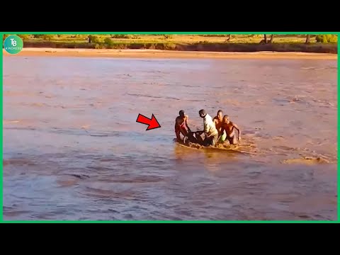 Видео: Животные, просящие людей о помощи и доброте, сняты на камеру! Лучшие моменты 2025 года #89