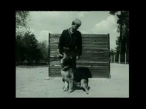 Видео: ОКД в ННА ГДР