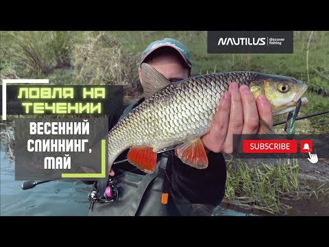 Видео: Nautilus Fugu. Весенний спиннинг на реке. Ловим на воблеры