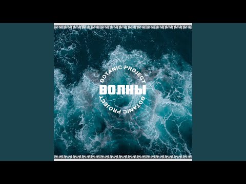 Видео: Музыкант