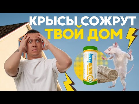 Видео: Грызуны не страшны! Утеплитель дома Knauf / Состав, экологичность, усадка, особенности