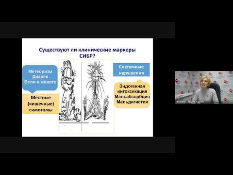 Видео: Дисбактериоз. Синдром избыточного бактериального роста. Часть 2. Доцент Кисельникова О.В.