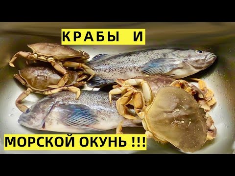 Видео: КРАБЫ  И МОРСКОЙ ОКУНЬ НА ТИХОМ ОКЕАНЕ В США!