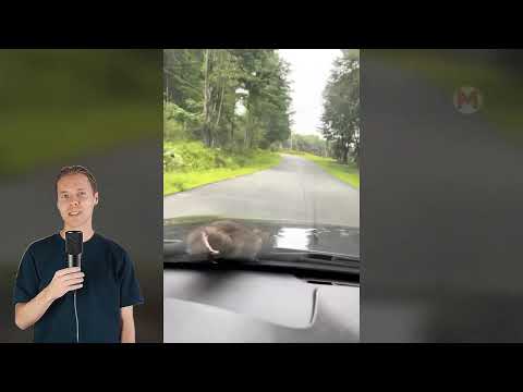 Видео: 30 Случаев на Дороге, которые были Сняты на Камеру!