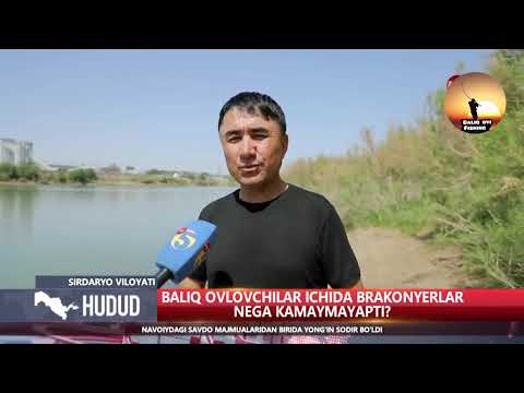 Видео: MY5 телеканалида овчи Зафар акамиз хақ гапларни айтдилар қоил.#mening yurtim MY5 #telegram #баликови