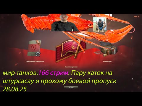 Видео: мир танков.166 стрим. Пару каток на штурсасау и прохожу боевой пропуск  28.08.25