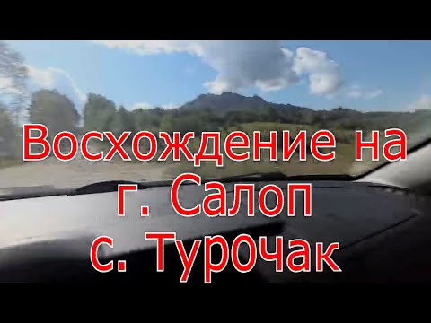 Видео: Восхождение на гору Салоп. Село Турочак. Алтайский край. АЛТАЙ 2020 ЧАСТЬ 2.