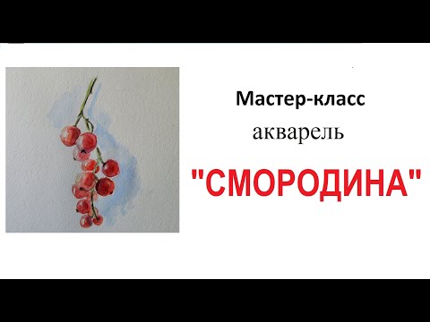 Видео: Акварель для начинающих. Урок рисования с натуры. Натюрморт. Смородина.