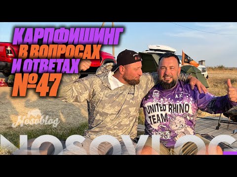 Видео: Карпфишинг в вопросах и ответах #47, Колесников А., Миненко П.