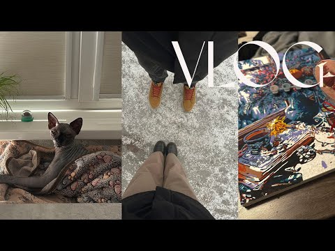 Видео: влог | заболел кот, небольшие покупки