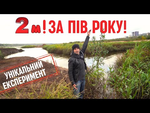 Видео: 2 метри за Пів Року Верби Великого луг і Техногенне забруднення