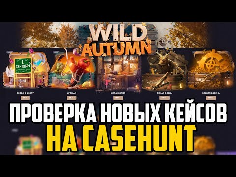 Видео: ПРОВЕРИЛ ОСЕННИЕ КЕЙСЫ НА CASEHUNT! ПОЙМАЛ СКРИПТ! ПРОМОКОД +30% XBOX