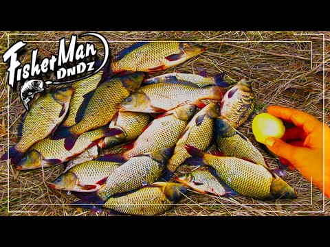 Видео: НАСАДКА ВЗОРВАВШАЯ ВОДОЕМЫ ВСЕ РЫБАКИ В ШОКЕ НА РЫБАЛКЕ