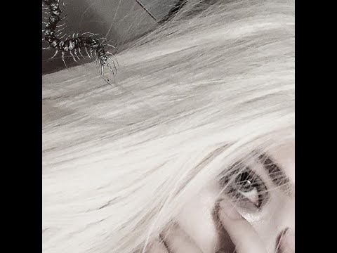 Видео: miyagi x эндшпиль x amigo - believe me tonight | slow & reverb