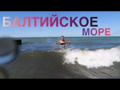 Видео: БАЛТИЙСКОЕ МОРЕ, ДАЧА, ЗООПАРК | Kate