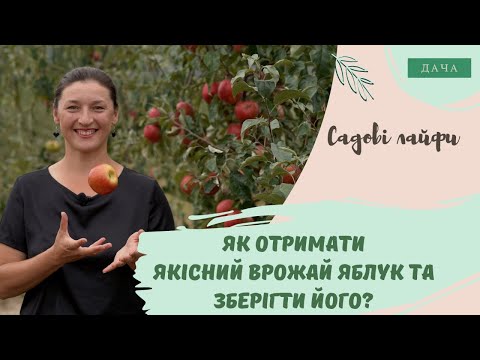 Видео: Як Отримати Якісний Врожай Яблук та Зберегти Його? Все що потрібно Знати про Вирощування Яблук.