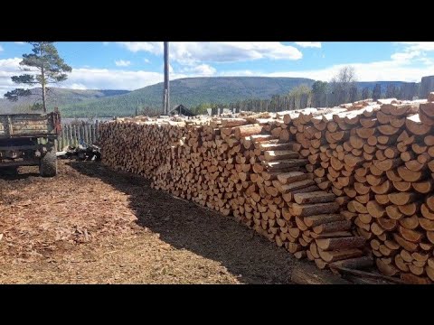 Видео: Заготовка дров на зиму в Якутии Село Дабан