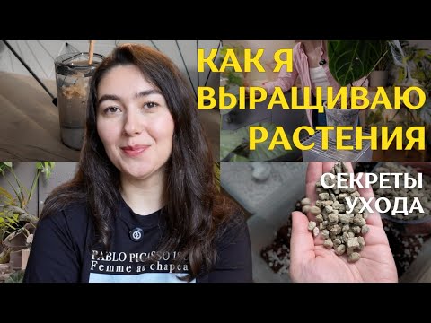 Видео: в КАКОМ ГРУНТЕ выращиваю? КАК и чем УДОБРЯЮ? | ВРЕДИТЕЛИ, полив, СВЕТ и профилактика 🪴