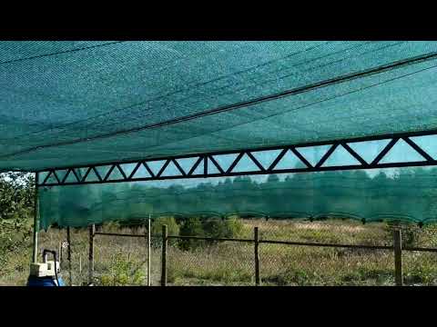 Видео: Пруд на участке, на дворе уже осень. Форель чувствует себя хорошо и неплохо подросла с весны. 